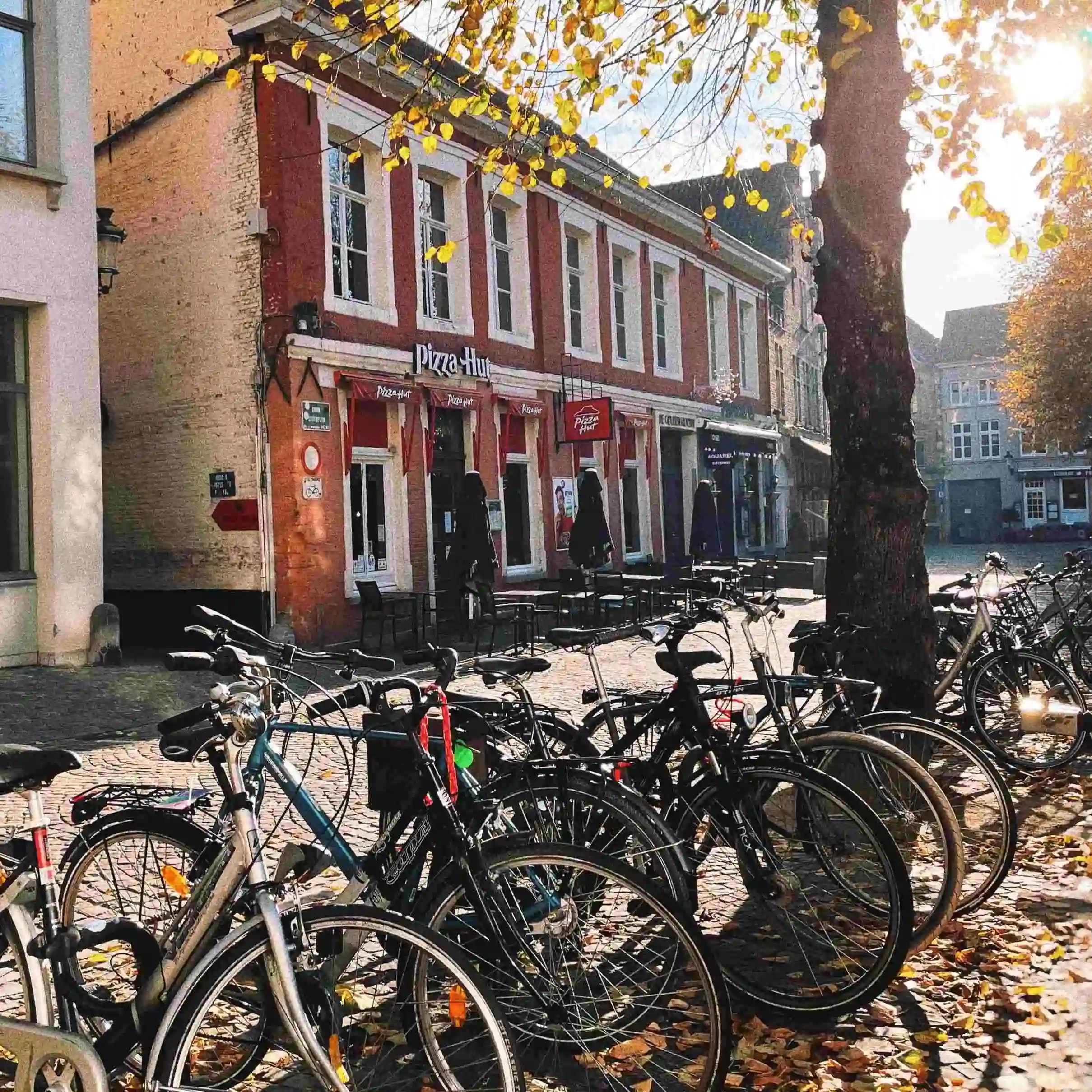 Bicicletas de Brujas aparcadas en la calle, golden hour